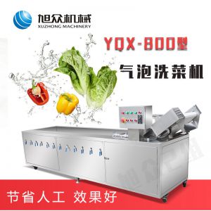 YQX-800型蔬菜清洗机